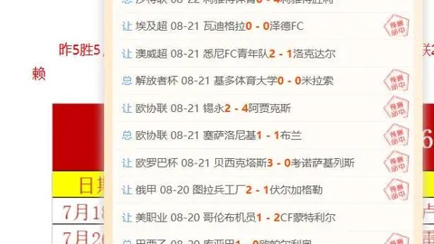 新加坡23对决：淡滨尼流浪者23赛事指南